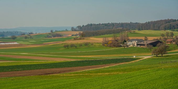 Landwirtschaft der Gemeinde Truttikon im Zürcher Weinland. Landwirtschaft der Gemeinde Truttikon im Zürcher Weinland.