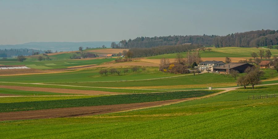 Landwirtschaft der Gemeinde Truttikon im Zürcher Weinland.