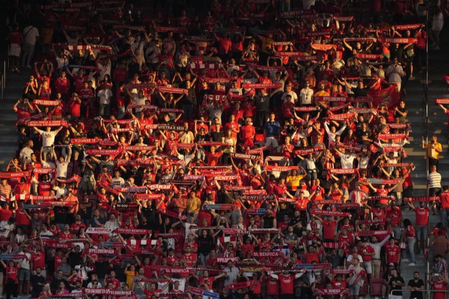 Im heimischen Estádio da Luz lässt Benfica Dynamo Kiew keine Chance.