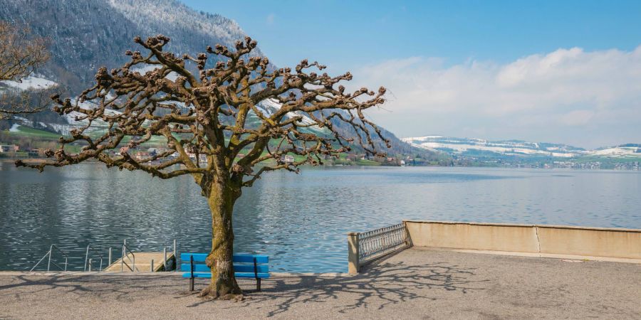 Die Seepromenade in Arth am Südufer des Zugersees.