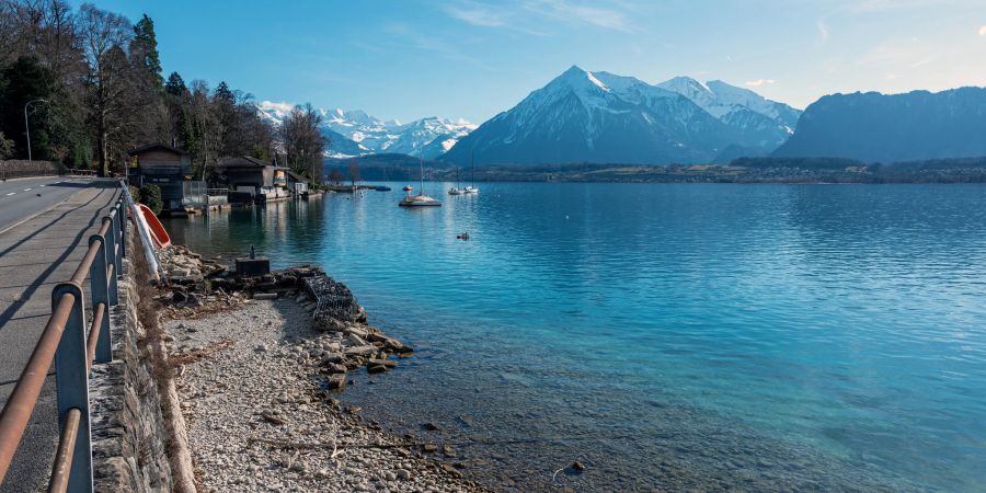 Der tiefe Thunersee mit Staatsstrasse links und dem Niesen rechts.