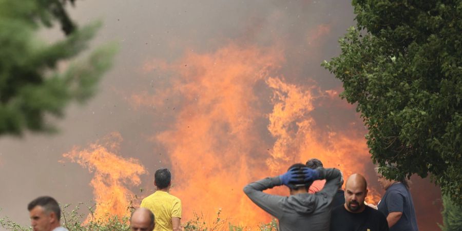 Ein Waldbrand in Anon de Moncayo. Dort hatten am Wochenende etwa 1500 Menschen ihre Häuser verlassen müssen.