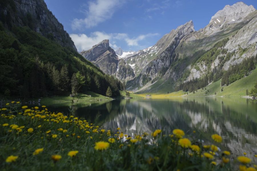 Besonders der schmucke Seealpsee ist bei Wandern beliebt. (Archiv)