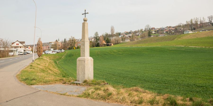 Blick auf die Gemeinde Hitzkirch.