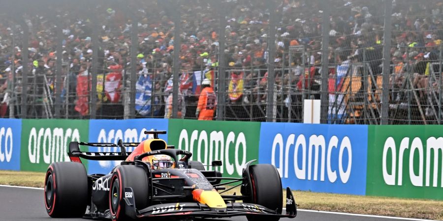 Max Verstappen fuhr in Ungarn von Platz zehn zum Sieg.