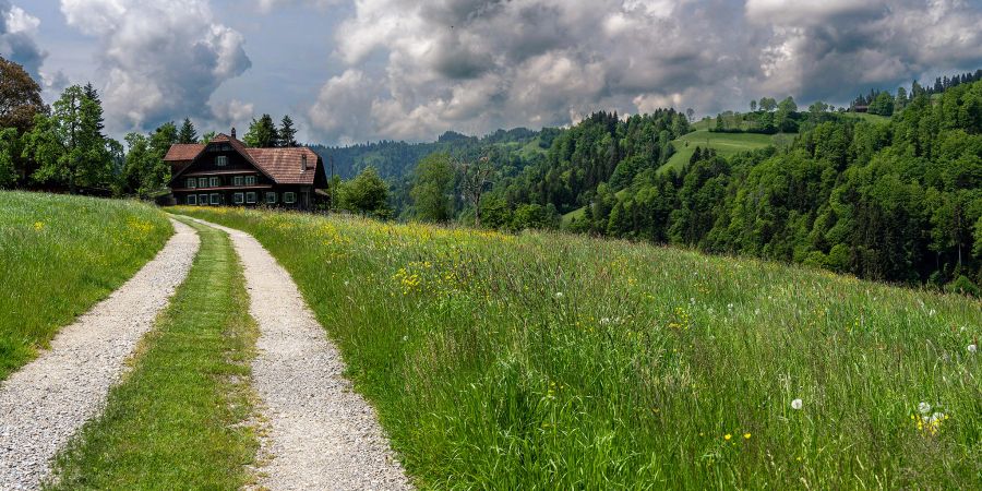 Bauernhaus, Landschaft, Wiesen, Wald und Naturstrasse bei Doppelschwand.