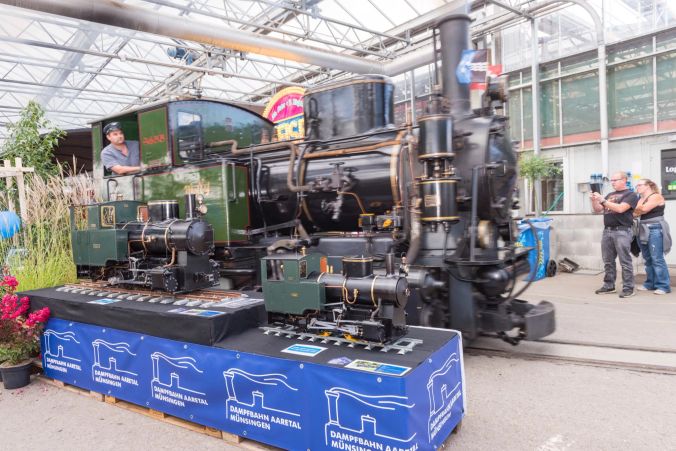 Dreimal «Molly», das Vorbild dampft vorbei, die Modelle sind detailgetreu nachgebaut.