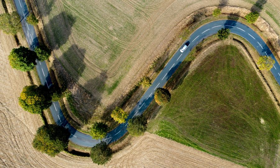 Acker Land Kurven Bäume Obenansicht