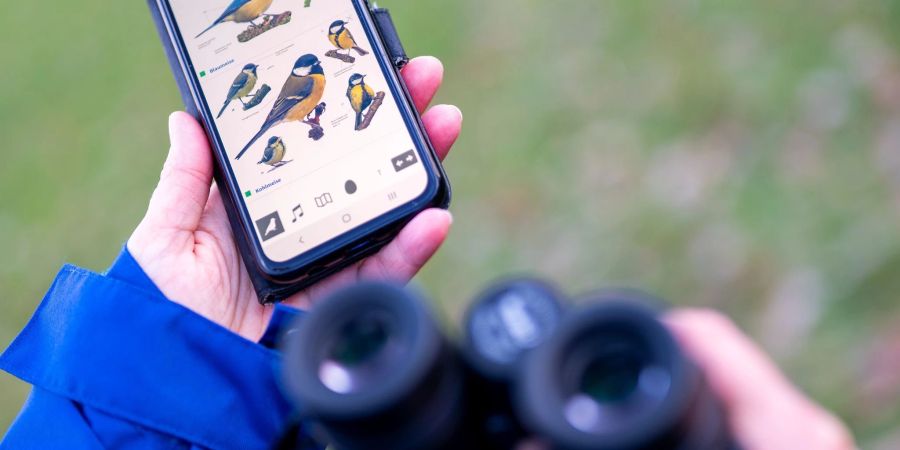 In wenigen Tagen steht wieder die Mitmachaktion des NABU zur Vogelzählung an. In den letzten Jahren zeichnete sich der Trend einer abnehmenden Vielfalt der Vogelarten ab.