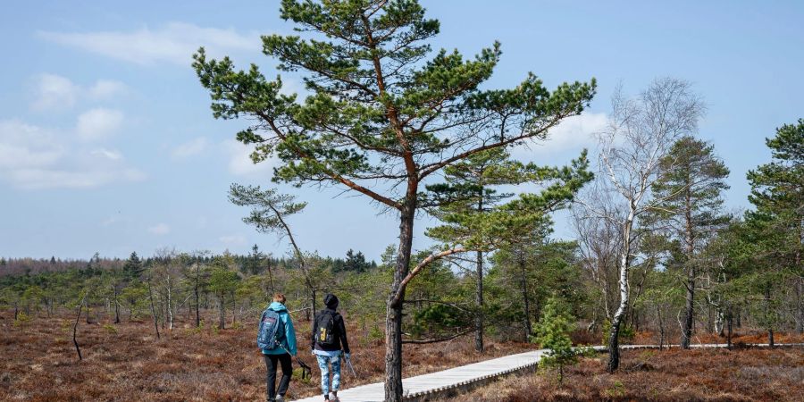 Zwei Frauen gehen auf dem Naturlehrpfad durchs Schwarze Moor in der Rhön. Nach zwei Corona-Jahren erwartet die Deutsche Zentrale für Tourismus wieder deutlich mehr Gäste.