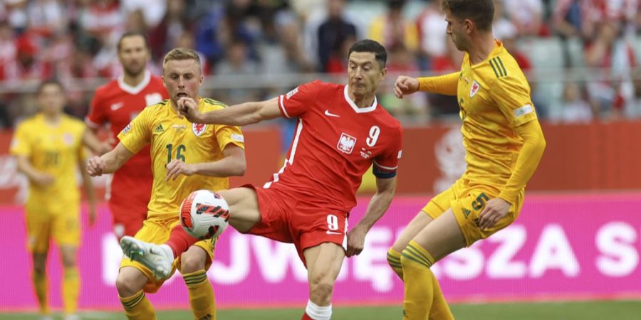 polnische fußballnationalmannschaft