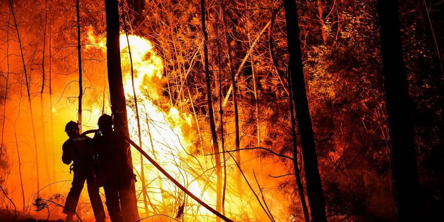 Feuerwehrleute versuchen, einen Waldbrand in der Nähe von Besseges in Südfrankreich zu löschen.