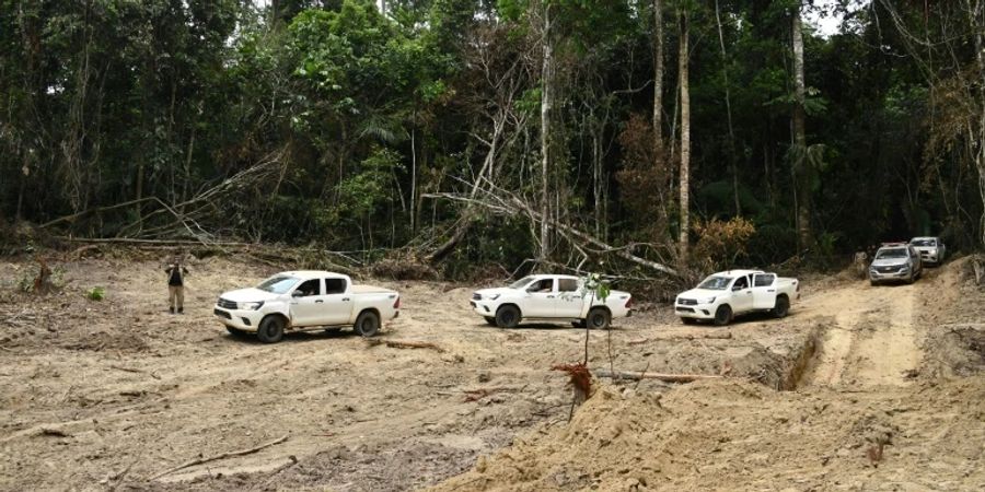 Abgeholzter Wald in Brasilien