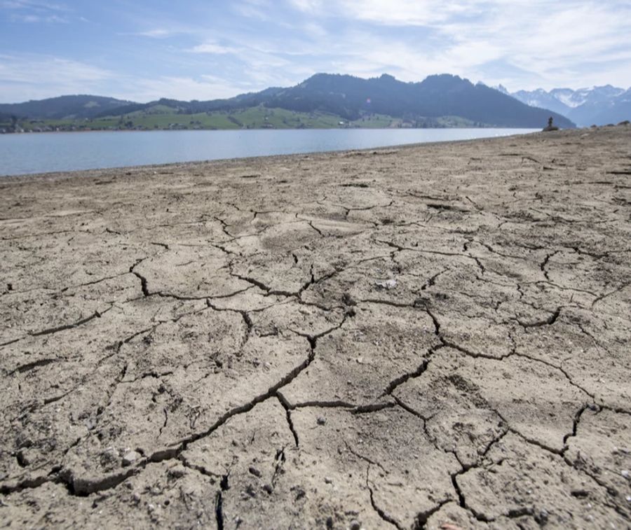 Rund um den Sihlsee bei Euthal im Kanton Schwyz ist es am Donnerstag, 16. April 2020, so trocken wie selten in den letzten Jahren.