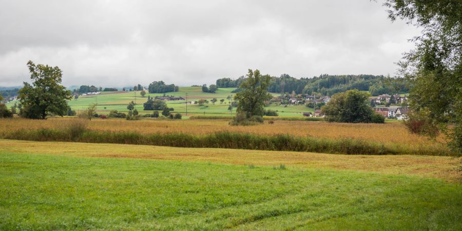 Die Gemeinde Rottenschwil im Reusstal.