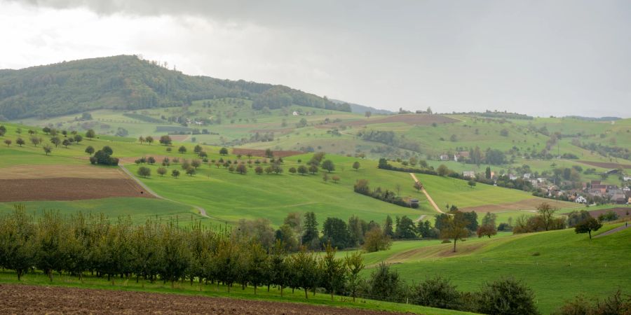 Landschaftsbild im unteren Fricktal.