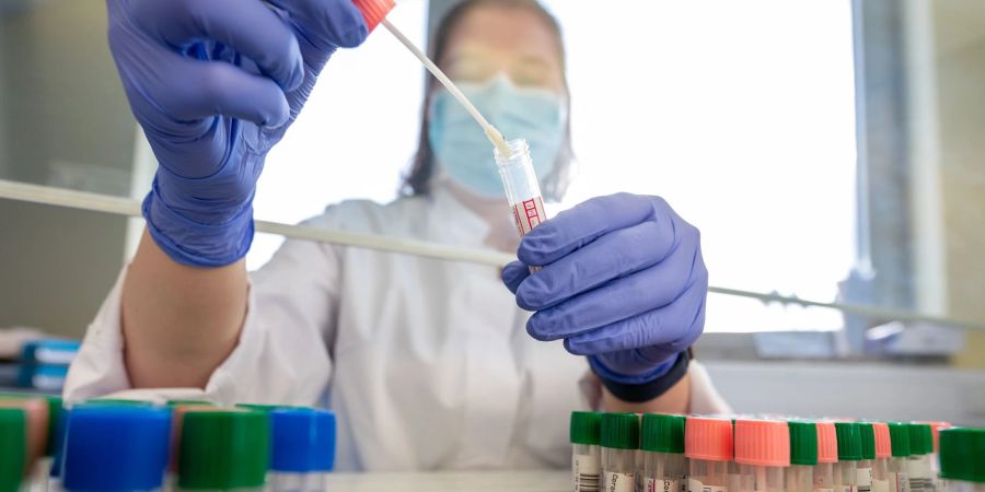 Eine Mitarbeiterin im Medizinischen Labor Ostsachsen wertet PCR-Tests aus.