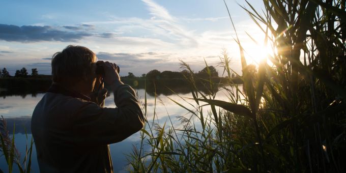 Unverzichtbar für die Vogelbeobachtung ist ein gutes Fernglas. Mann Sonnenaufgang See Schilf Fernglas