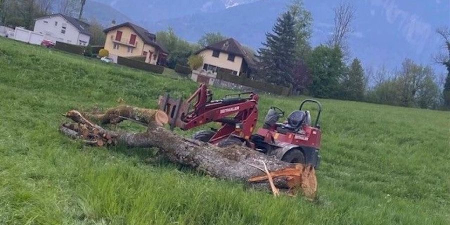 Der Arbeiter wurde von einem Ast getroffen, als der Baumstamm auf dem Gabelstapler in Bewegung geriet.