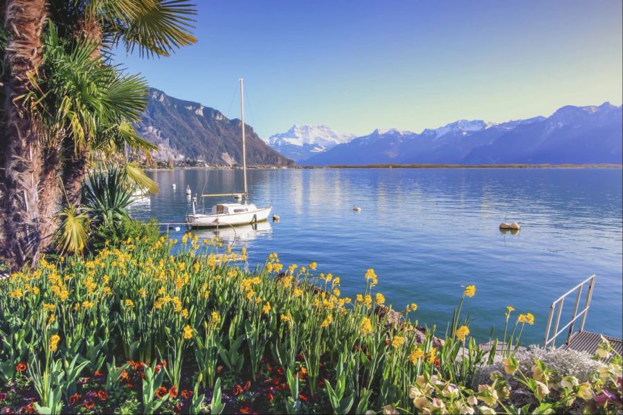 Montreux, Genfersee, Alpen