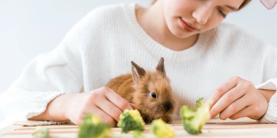 Mädchen mit jungem Kaninchen, das Brokkoli bekommt