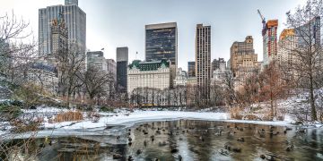 new york city, wasser, winter, central park