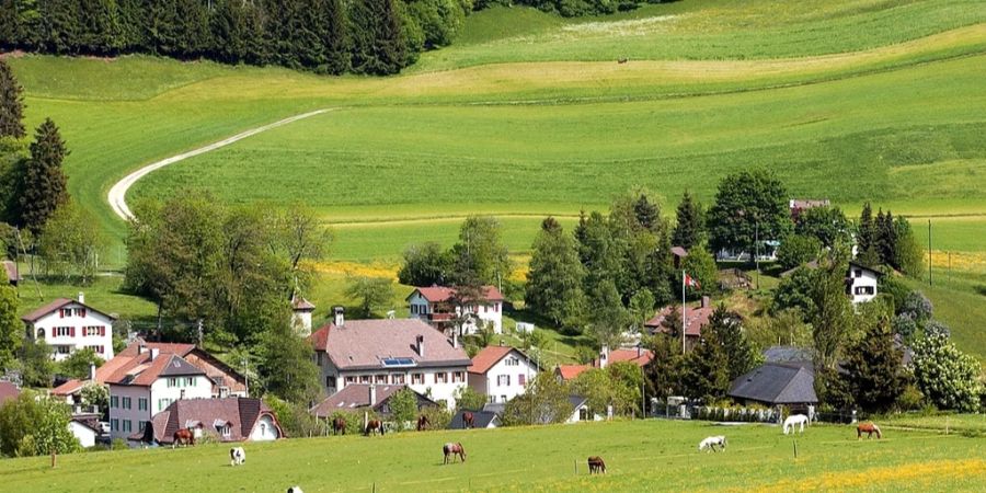 Cormoret