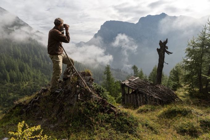 Die Jägerschaft in der Schweiz ist um die Kontrolle der Wildbestände bemüht: Mit dem Abschuss einer bestimmten Anzahl Tiere werden die Populationen stabil gehalten. (Symbolbild) Wolf Schweiz Jagd