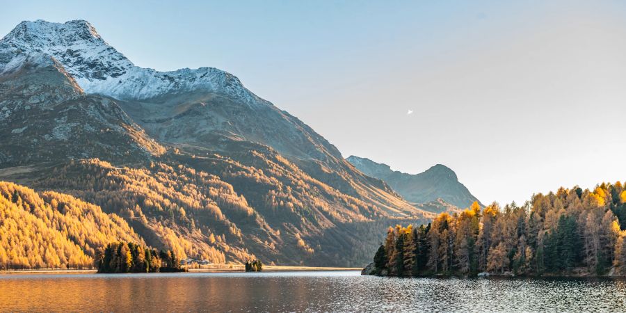 Herbstfarben am Silsersee im Oberengadin. - Sils / Engadin