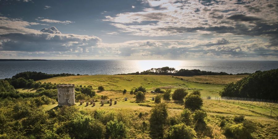 See Meer Küste Seeland Licht grün Büsche Landschaft