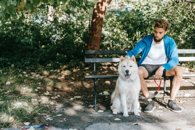 Will ein Hund berührt werden, drückt er sich an den Menschen heran und macht einen entspannten Eindruck. Hund Park Bank Mann