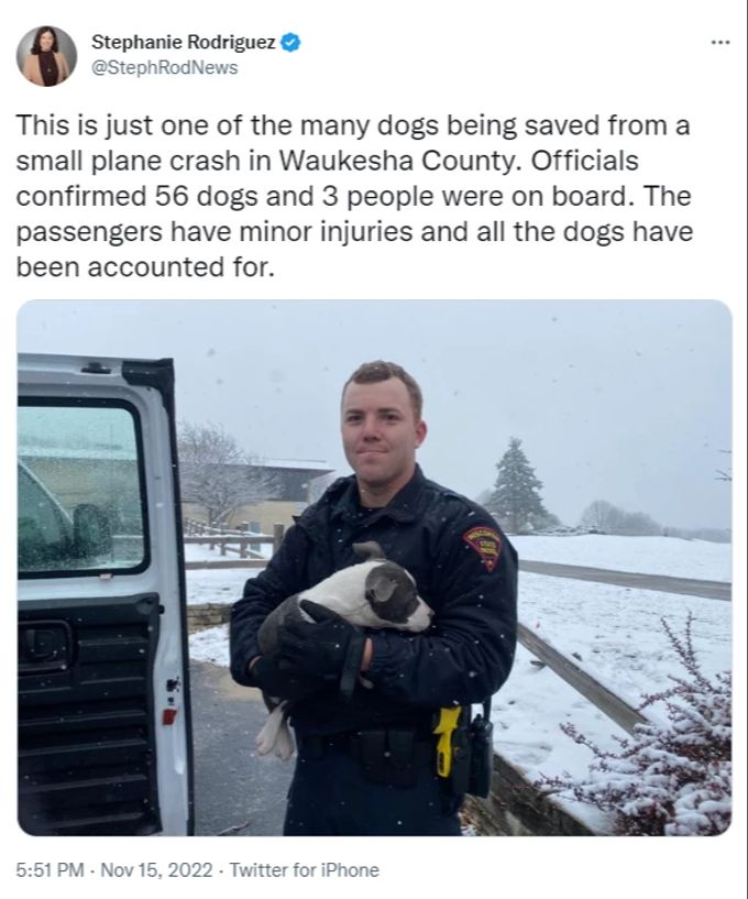 Ein Feuerwehr-Mann mit einem Hund nach dem Flugzeugabsturz. Hunde