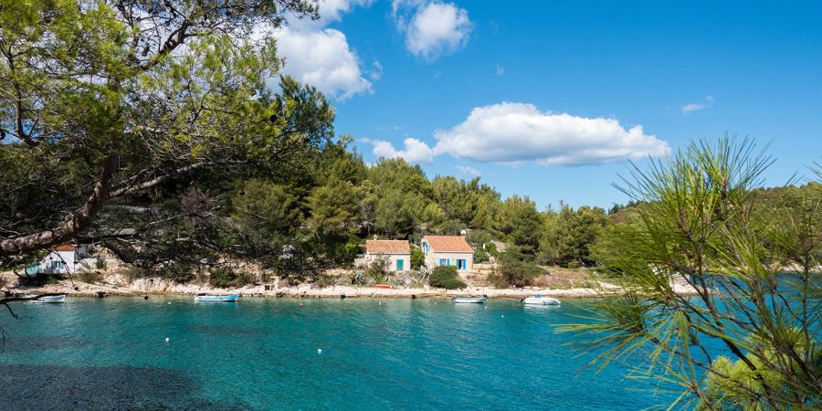 Wasser transparent Felsen Bucht Insel