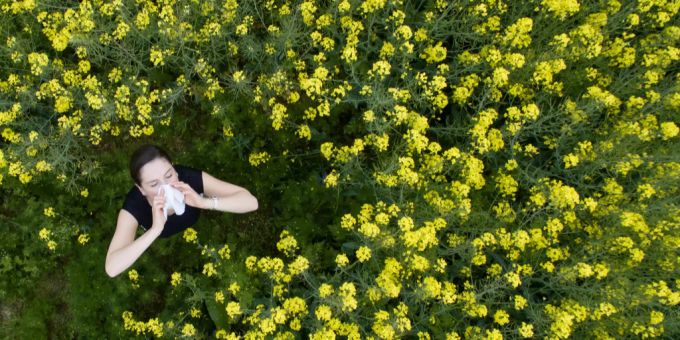 Dieses Jahr erlebt die Schweiz eine heftige Pollensaison. Doch Allergiker können sich schützen. Pollenflug Pollen Heuschnupfen Belastung