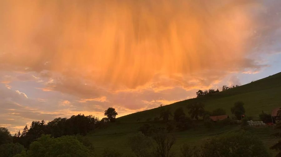 Sommerliche Abendstimmung nach dem Regen.