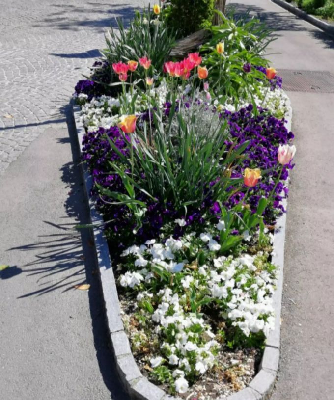 Dorfplatz. Dorfplatz Villmergen