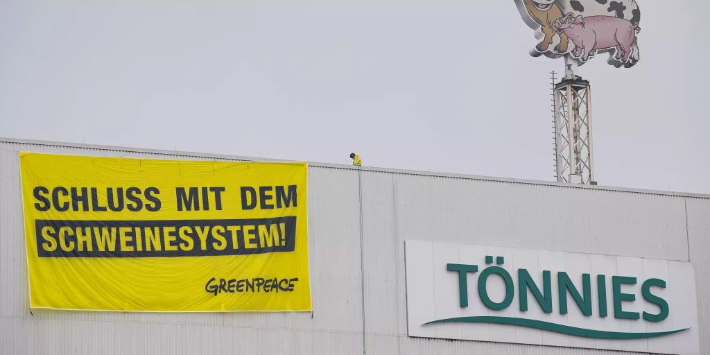 Greenpeace Landet Mit Gleitschirmen Auf Tonnies Dach