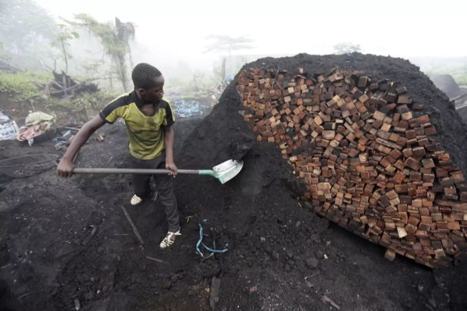 Ein Mann arbeitet an der Elfenbeinküste für eine Holzkohle-Fabrik. Holzkohle spielt bei der zunehmenden Entwaldung in Afrika eine grosse Rolle. Abholzung