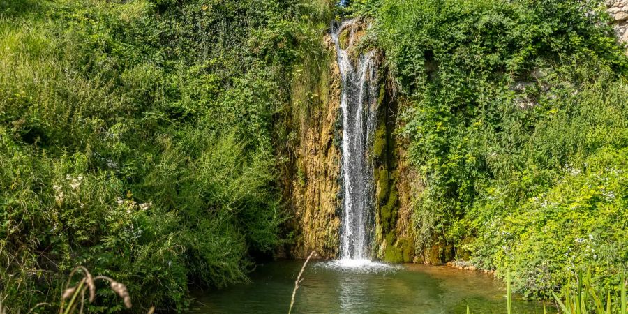 Aussicht auf einen Wasserfall in Biberstein.