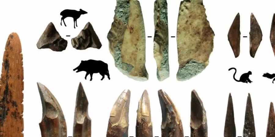 Werkzeuge aus Knochen und Zähnen sind Teil archäologischer Funde, die auf Sri Lanka gemacht wurden. Foto: M. C. Langley/dpa