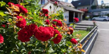 Gartenstadt Wettingen