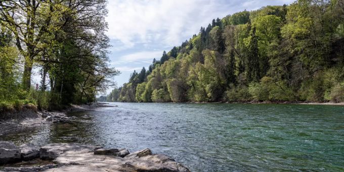 Aare in Blickrichtung Thun bei der Schützenfahrbrücke in Münsingen - Münsingen Aare in Blickrichtung Thun bei der Schützenfahrbrücke in Münsingen - Münsingen