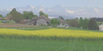 Allmendingen