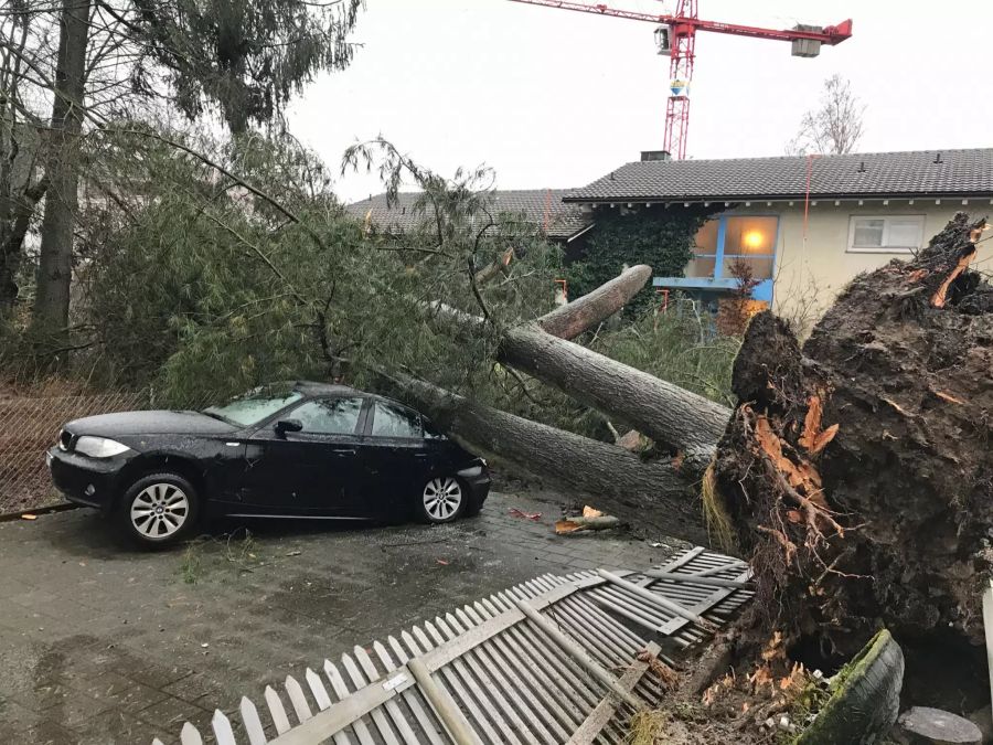 Dagmarsellen Auto Sturm