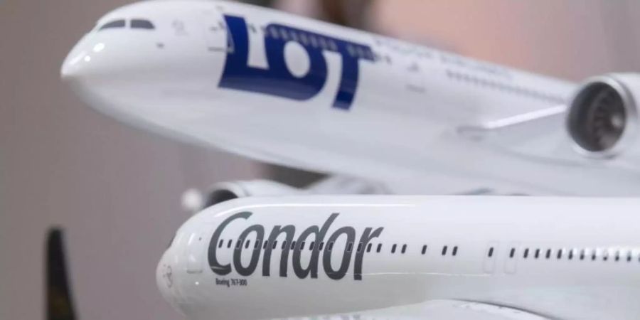 Modelle eines LOT- und eines Condor-Flugzeugs. Foto: Boris Roessler/dpa