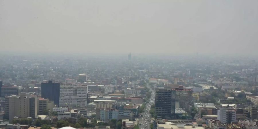 Auch aus Mexiko-Stadt sollen künftig Fachkräfte kommen