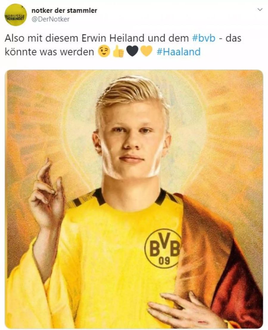 BVB Erling Braut Haaland