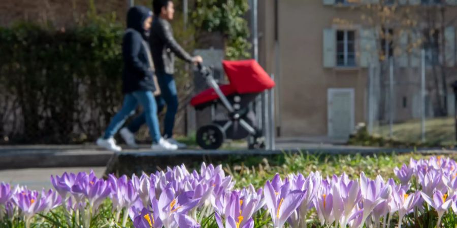 Wetter Meteo Frühling