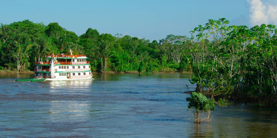 Fluss Amazonas Urwald Kreuzfahrtschiff