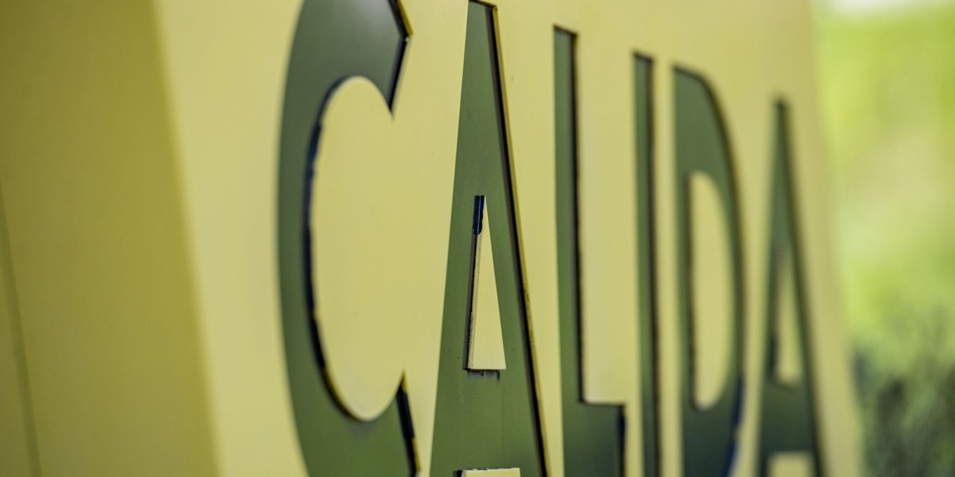 Calida-Aktionäre lehnen Aktienrückkauf ab - Dividende bestätigt | Nau.ch